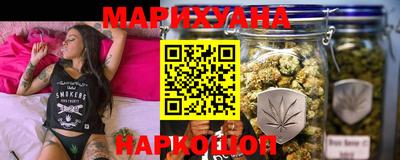 сатива Малоярославец