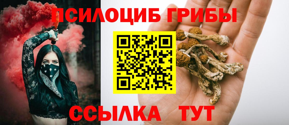 Галлюциногенные грибы Cubensis Димитровград